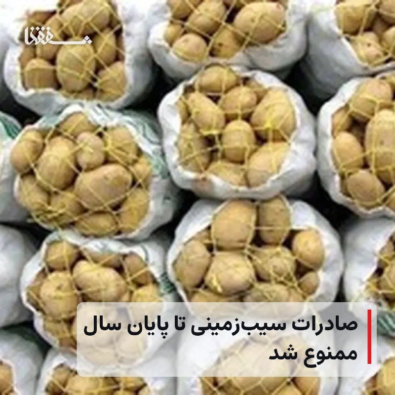 خبرگزاری بین المللی شفقنا: 🔴 صادرات سیبزمینی تا پایان سال ممنوع شد⬅️ بر اساس اعلام معاونت توسعه بازرگانی وزارت جهاد کشاورزی، صادرات سیبزمینی تا پ