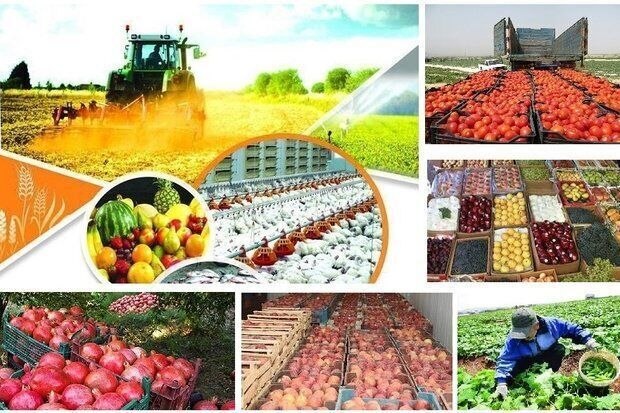 خبرگزاری صداوسیما خراسان رضوی: 🔶افزایش ۳۱ درصدی ارزش اقتصادی تولیدات کشاورزی خراسان رضوی🔹هدف اصلی سیاست‌های جدید کشاورزی استان، افزایش بهره‌وری آب و خا