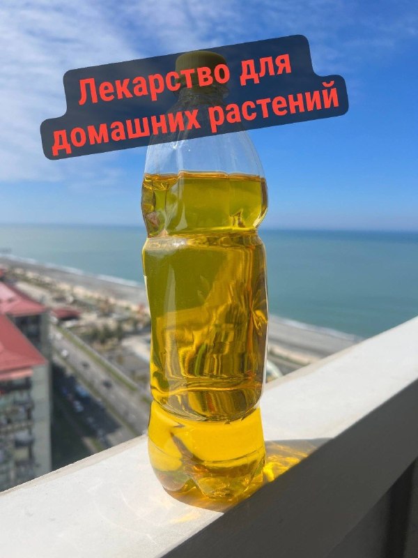 Концентрат «Медь + Железо» для ваших растений