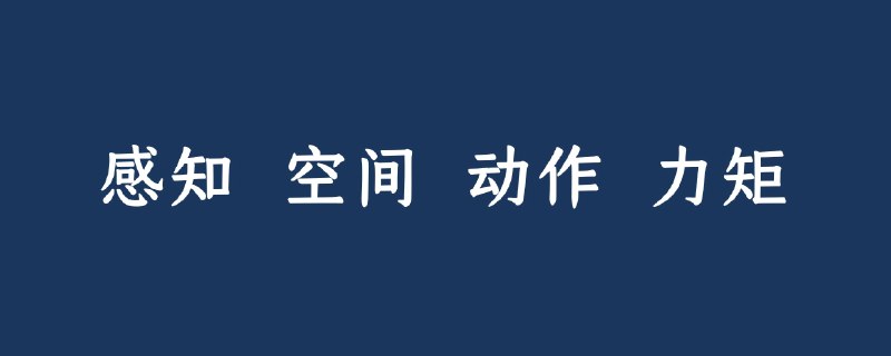 你不知道的具身智能：从小机器狗到 Optimus