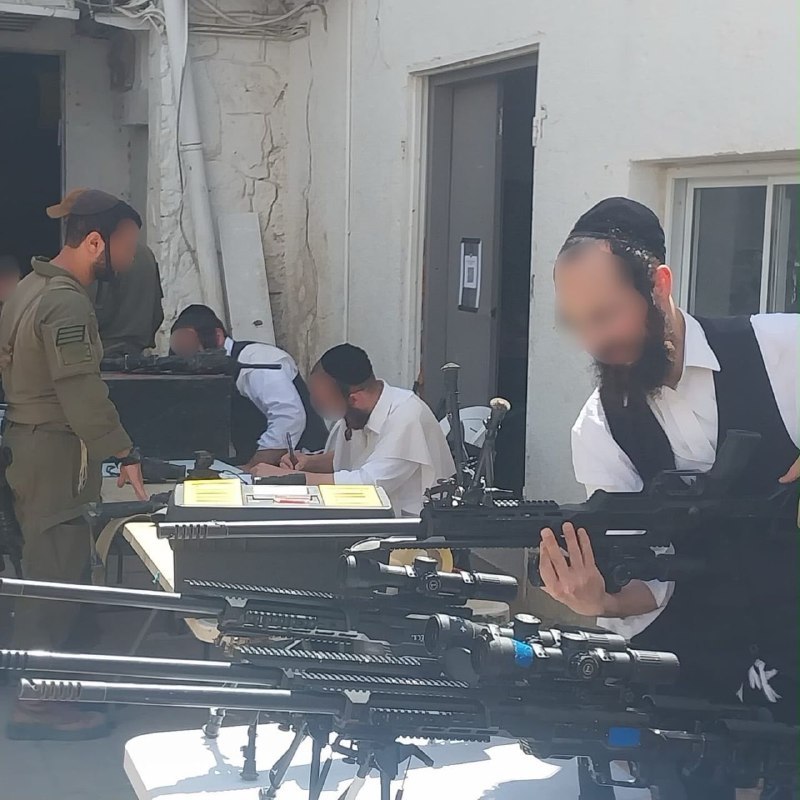 אלי הירשמן