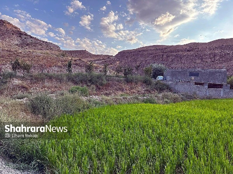 شهرآرانیوز: 🔶 گزارش تصویری | طبیعت تابستانی دره شمخال🔹دره شمخال در روستایی کوهپایه ای به همین نام قرار دارد. روستای شمخال بنای تاریخ