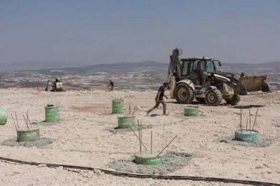 المستوطنون يعودون إلى بؤرتي جانيم وكاديم شرق جنين
