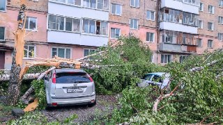 В Свердловской области прошел смерч, кадры распространяются в соцсетях.  По данным регионального МЧС, в городе Кушва без электроэнергии остались более четырех тысяч частных домов, повреждены 40 кровель, зафиксировано падение 25 деревьев и девяти опор линий
