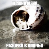 NËRVEN