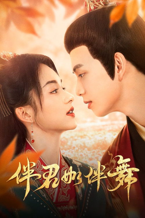 伴君如伴舞【高清资源下载】古装权谋剧情 | 阿里云盘/百度网盘购买