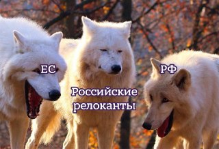 Платежная система «Золотая Корона» перестала переводить платежи в Грузию и Казахстан из-за новых санкций ЕС: https://lentach.media/av0EO