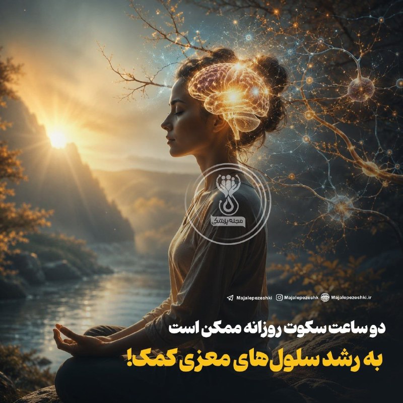 تایباد آنلاین: 🔴 دو ساعت سکوت روزانه ممکن است به رشد سلول‌های معزی کمک!🔸یک مطالعه جالب روی حیوانات که در سال ۲۰۱۳ انجام شد، نشان داد که