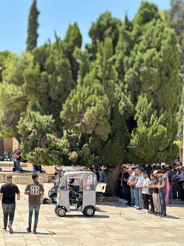 חלק ממופע תפילת יום שישי במסגד אל-אקצא המבורך