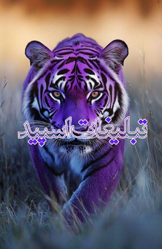 لینکدونی گروه چت بوشهر: ❶﹚ نام : 🌈𝐊𝐀𝐅𝐅𝐄 ☕𝐋𝐀𝐕𝐄❤❷﹚ نو؏ تبلیغات : #telegram❸﹚ توضیحات :💝گروه سراسری همه شهرهای ایران💝❤️به گروه خودتون خوش آمدید❤️✅ب