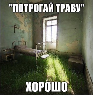 Трогать траву официально полезно для психики, заявили немецкие учёные. Врачи из университетской клиники "Шарите" провели 344 исследования, чтобы понять, как нахождение на природе влияет на здоровье человека.Подробнее в нашем канале в MAX.