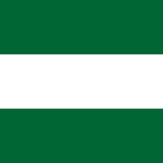 TCAE.com.es Andalucía