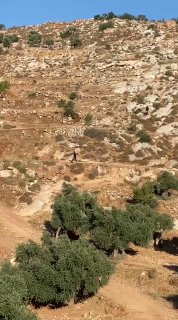 רשת חדשות ירושלים