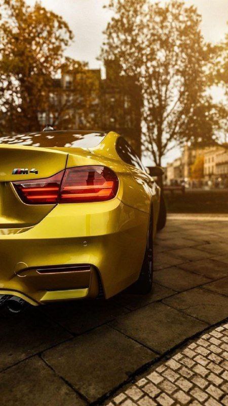 https://t.me/bmw_mpower_club