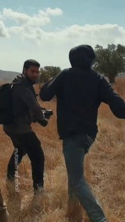 סצינות המתעדות תקיפה אכזרית של מתנחלים בתושבים ותומכים זרים במהלך מסיק הזיתים בכפר כפר מאלק, מחוז רמאללה.