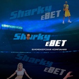 Линия коэффициентов | SHARKY eBET