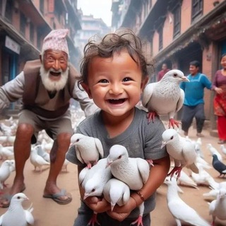 All kotebe pigeon market 🇪🇹