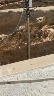 רשת חדשות ירושלים