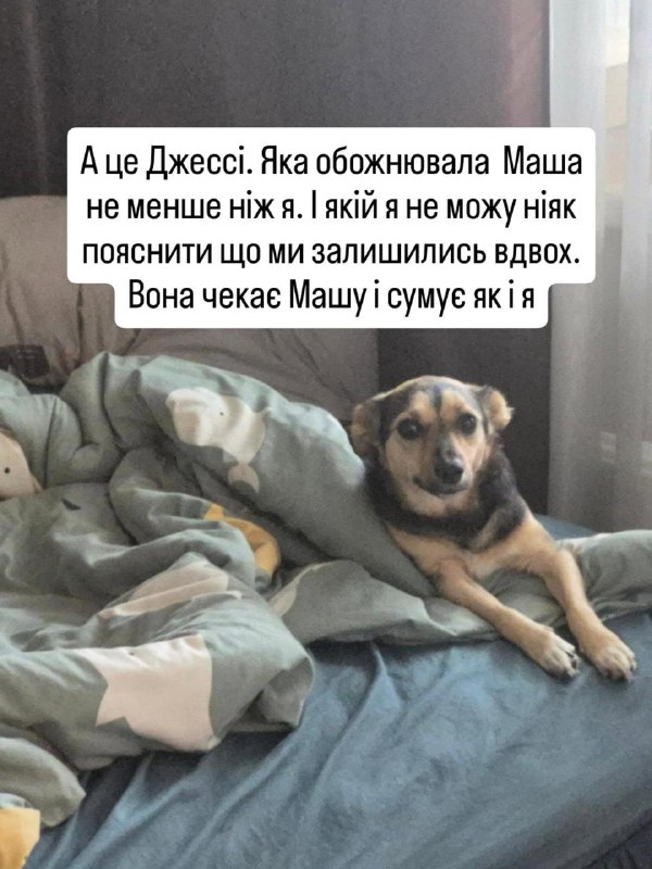 Image from a post by Сава. Такмед, жаба і гадюка.