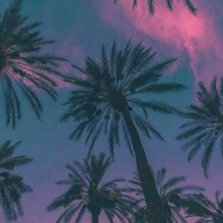 ◆La Vida •|• الحياة◆ Telegram Group Link