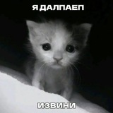 Плесневелый Сыр:Р (рест)
