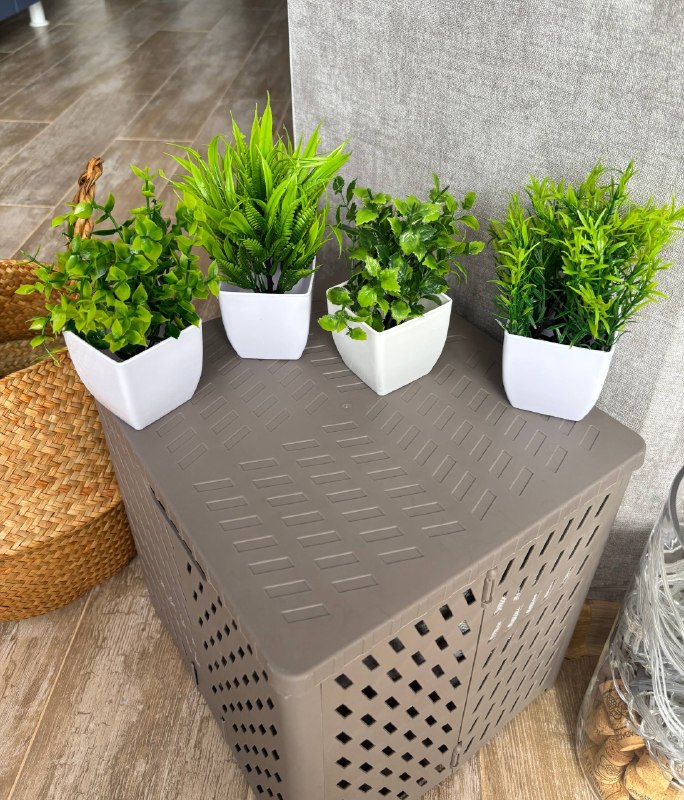 Новые искусственные суккуленты — фото 1