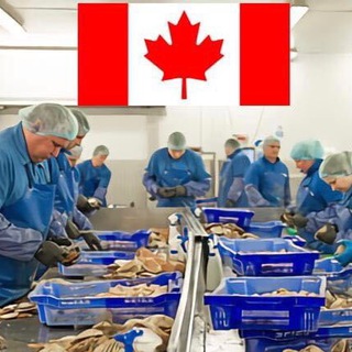 Jobs In Canada 🇨🇦 Telegram Group Link