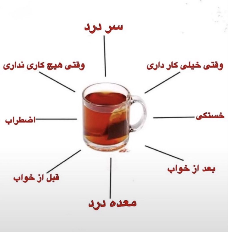 مشهد چغوک: و خیلی جاهای دیگه...@MCHOGHOK | کانال مشهدیها