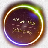 پروژه یابی لاله 11