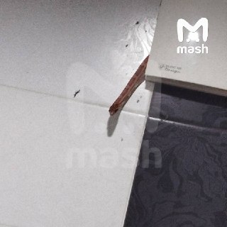 Огромная анакооонда напугала москвича, который принимал душ, — оранжевый выполз из вентиляции и вероломно проник в его личное пространство.Гость навестил работягу из Южного административного округа столицы (адрес смотрите на "Карте"). Через несколько минут