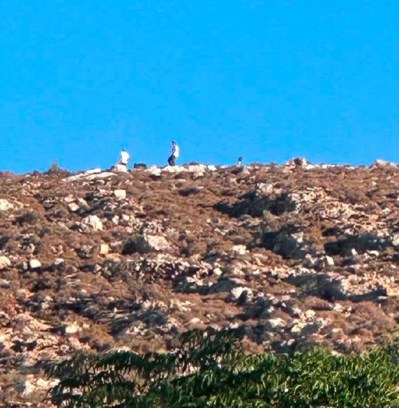 רשת חדשות ירושלים