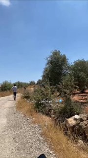 מתנחלים גונבים רכב ותוקפים את בעליו באזור אל-חלח, הממוקם בין העיירות טורמוס איה ואבו פלאח, צפונית מזרחית לר…