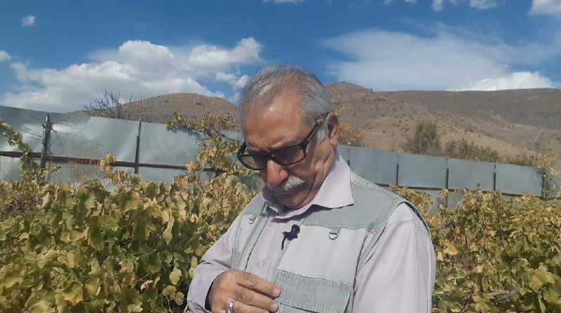 💎بیان ودستان هنر: رسانه پست