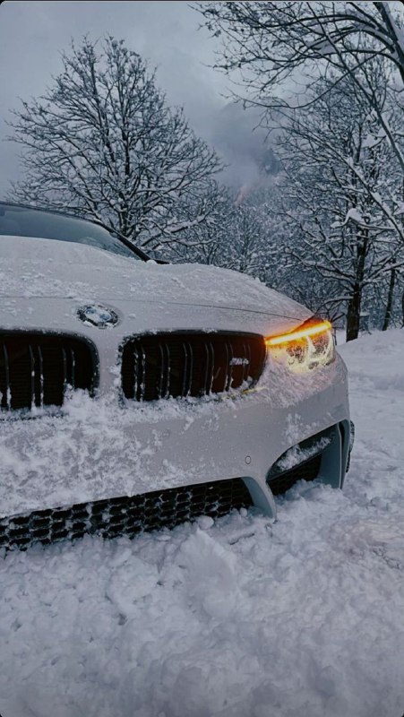 https://t.me/bmw_mpower_club