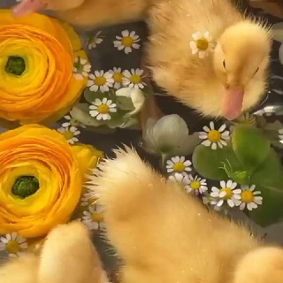 Детские подделки ,развивающие игры . Мелкая моторика ❤️