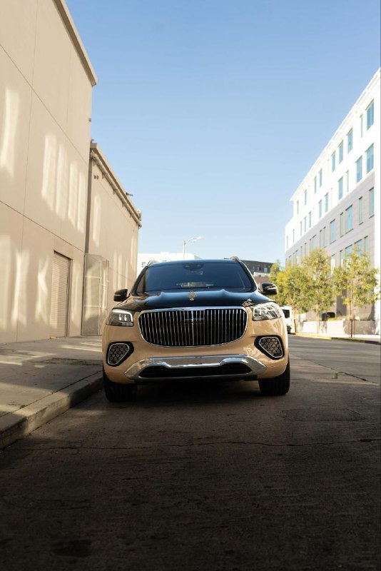 2024 MAYBACH GLS600 10