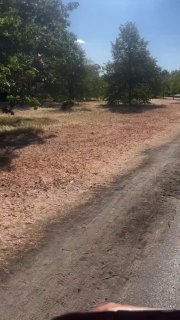 צפו: המדשאות הירוקות האייקוניות של הייד פארק בלונדון הפכו חומות, והותירו חלקים מהפארק ההיסטורי דומים לנוף מ…