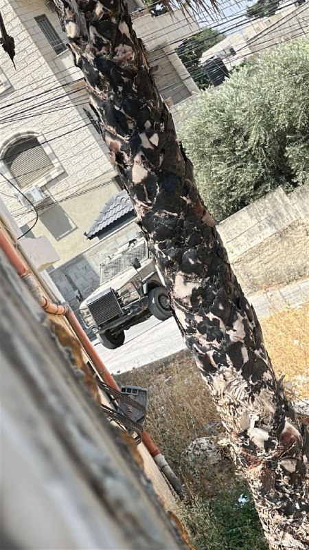 דחוף: כוחות הכיבוש מסתערים על הכפר כפר קליל, דרומית מזרחית לשכם.