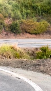 https://t.me/bmw_mpower_club
