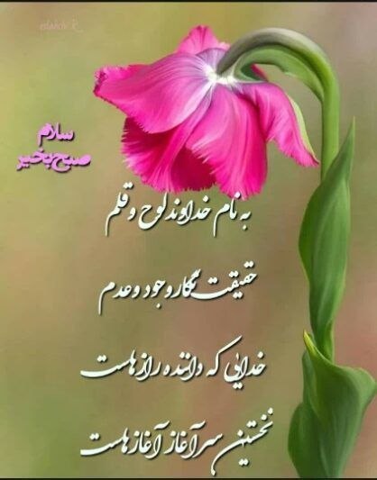 تربیت میوه زندگی: الحمدلله الذی أحيانا بعدما أماتنا وإليه النشورخدا را سپاس که ما را پس از خواب بیدار کرد و بازگشت ما به سوی اوست.همراهان 