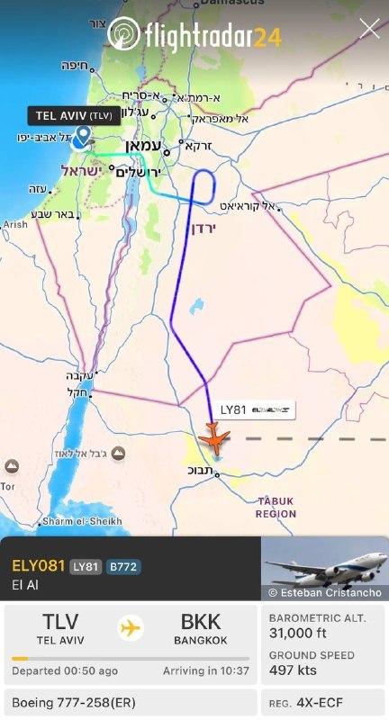 דין פישר