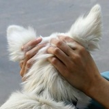 эротично