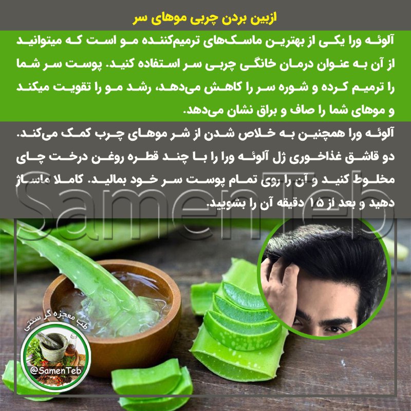 🍃طبِ معجزهگرِ سنتی🍂: 👩🦱از بین بردن چربی موهای سر🔹آلوئه ورا یکی از بهترین ماسکهای ترمیمکننده مو است که میتوانید از آن به عنوان درمان خانگی