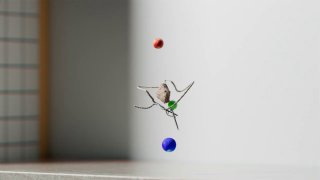 创意_碰碰撞撞，让你眼睛超舒适的创意短片本片由 Lee Yoonha 执导，音效由 Jürgen Branz 制作，五颜六色的小物体碰撞在一起，将会带来什么样的变化？ From 이윤하via 开眼