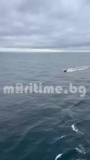 כטב"מים ימיים תקפו ספינת מכולות ליד בולגריה: הספינה טבעה, ארבעה אוקראינים היו על סיפונה בים השחור ליד חופי…