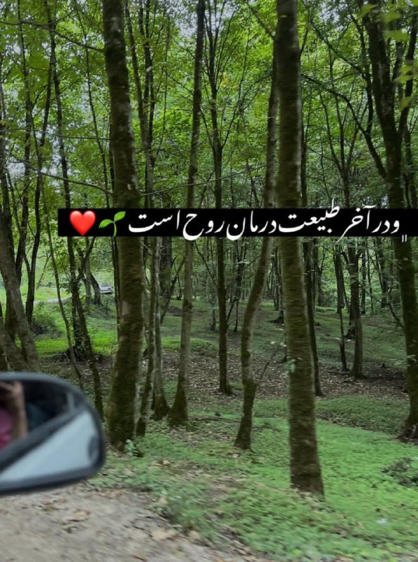 👑 شهر عکس 👑: 💜 @shahreeaks 💜