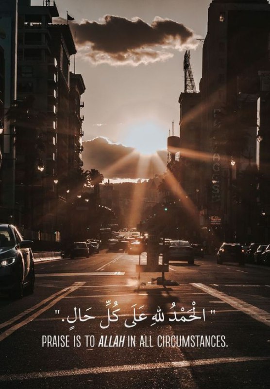 🕊💝 رویایی 🕊💝: نیرویی از آن توست باور نکردنیو توانایی به کارهایی که تصورشانهم مشکل استتنها مانع،دیوار بلند ذهن توستپس به ناتوان بودن می