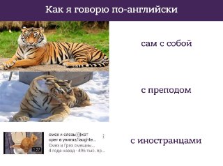 Почему многие, кто учил английский в школе или вузе, все равно читают иностранные тексты в машинном переводе, а при встрече с иностранцами не могут вспомнить ничего кроме «London is the capital of Great Britain»?Чаще всего причина кроется в устаревшей сист