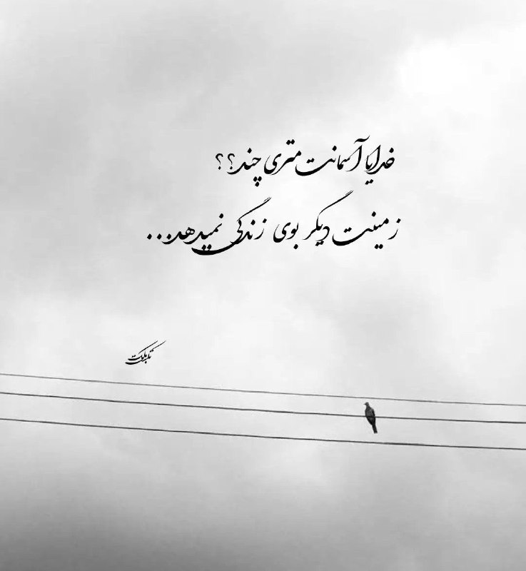 👑 شهر عکس 👑: 💜 @shahreeaks 💜