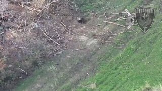 חיילים של הרגימנט המשמר ה-71 עקבו אחרי חיל הרגלים של האויב מצפון לאוורכוב. הציפורים הגיעו מיד. תגיות: VKont…
